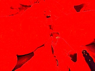 Bbw fucked hard with toy then drilled with sawzall multi orgasms