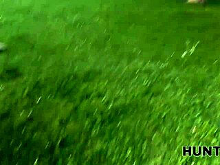 Hunt4k pond cheating
