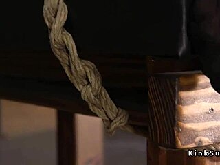 perky tits slave in torn pantyhose gets tied