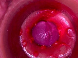 Camera shows deep inside vagina with creampie finish