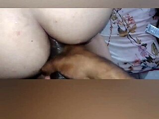 Novinha loses anal virginity in homemade video